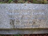 image of grave number 290021
